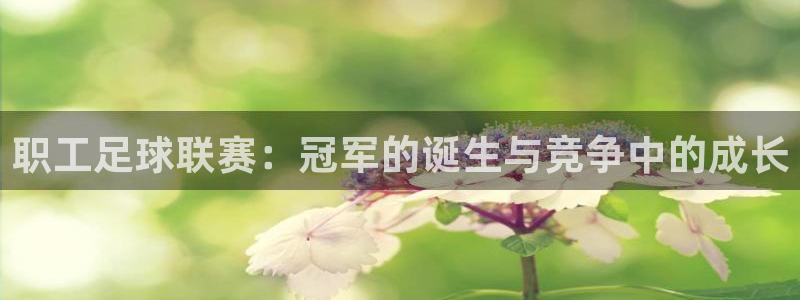 职工足球联赛：冠军的诞生与竞争中的成