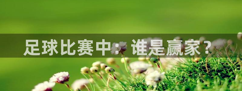 足球比赛中：谁是赢家？