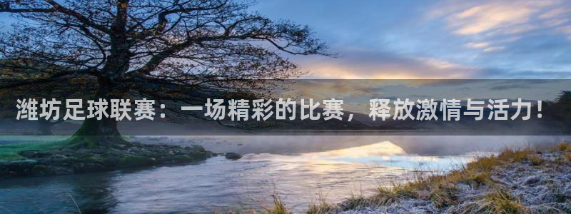 潍坊足球联赛：一场精彩的比赛，释放激