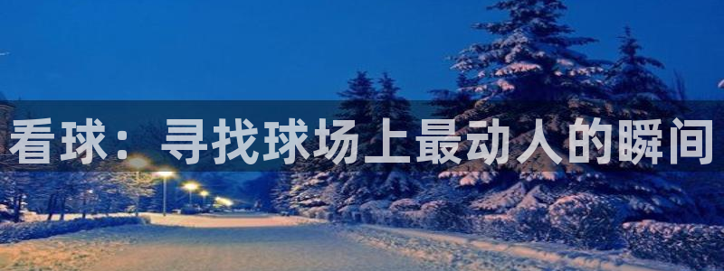 看球：寻找球场上最动人的瞬间