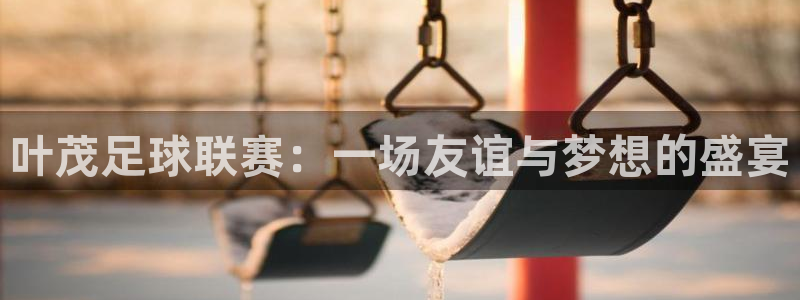 叶茂足球联赛：一场友谊与梦想的盛宴