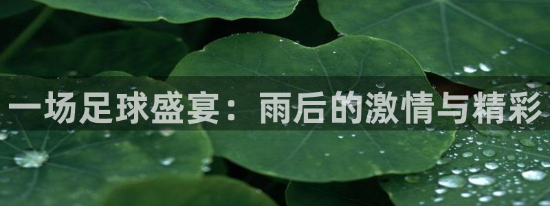  一场足球盛宴：雨后的激情与精彩