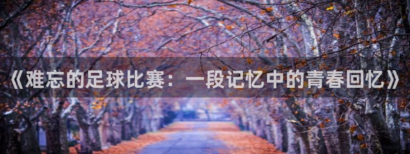 《难忘的足球比赛：一段记忆中的青春回忆》