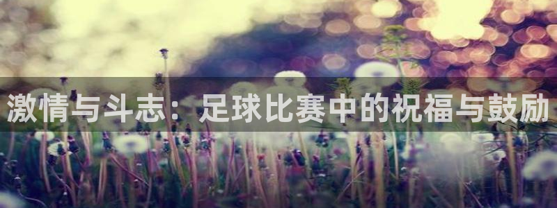  激情与斗志：足球比赛中的祝福与鼓励