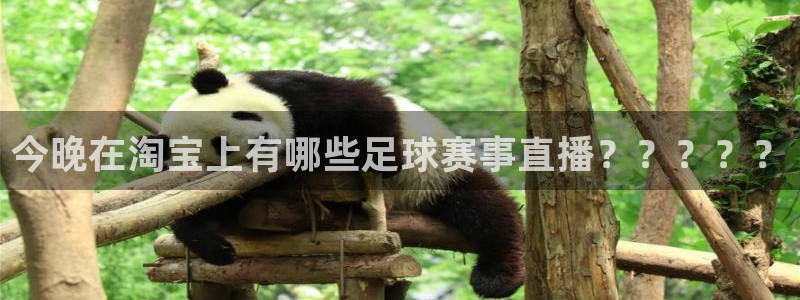  今晚在淘宝上有哪些足球赛事直播？？？？？