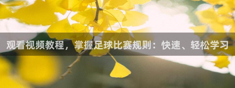 观看视频教程，掌握足球比赛规则：快速、轻松学习