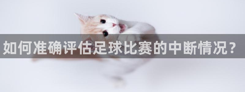 如何准确评估足球比赛的中断情况？