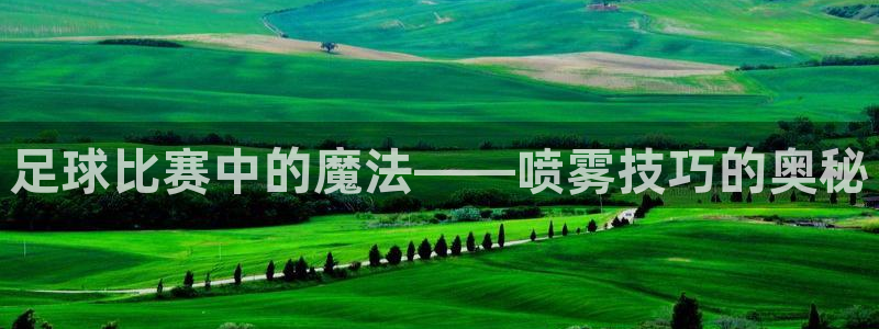  足球比赛中的魔法——喷雾技巧的奥秘