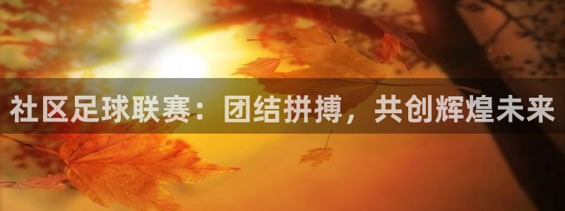  社区足球联赛：团结拼搏，共创辉煌未来