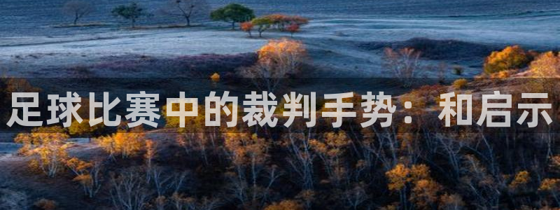 足球比赛中的裁判手势：和启示