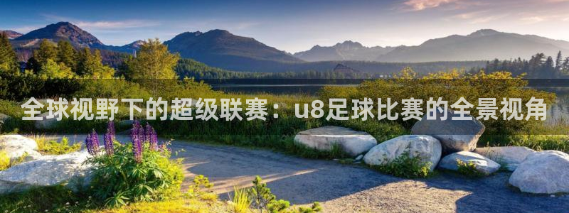 全球视野下的超级联赛：u8足球比赛的全景视角