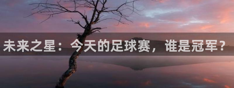 未来之星：今天的足球赛，谁是冠军？