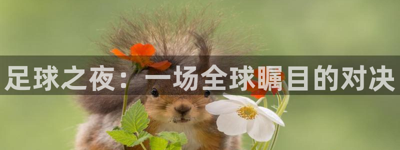  足球之夜：一场全球瞩目的对决