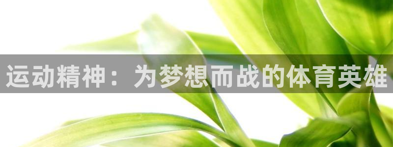 球速体育