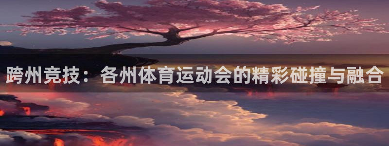球速体育