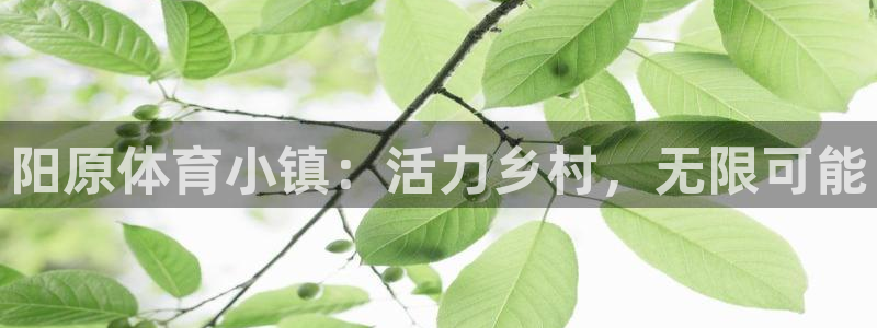 球速体育