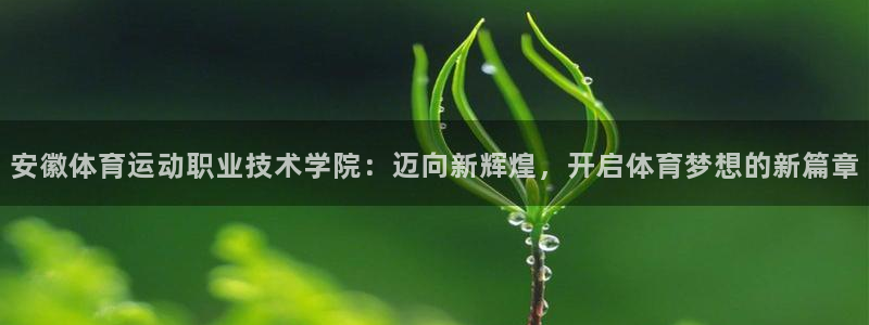 球速体育