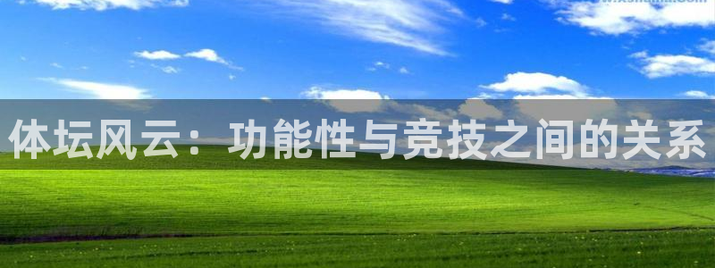 球速体育