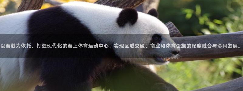 球速体育