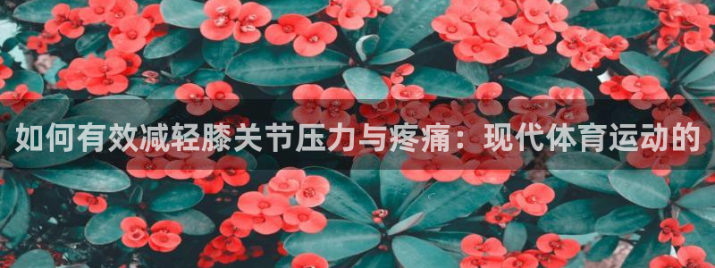 球速体育