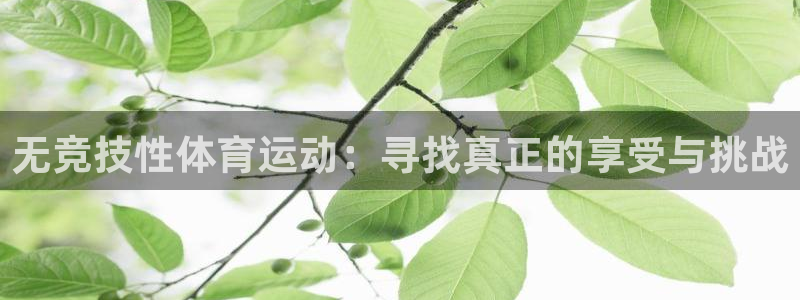 球速体育