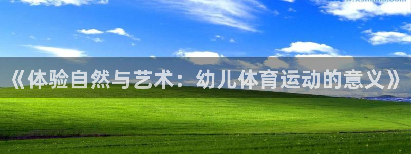 球速体育