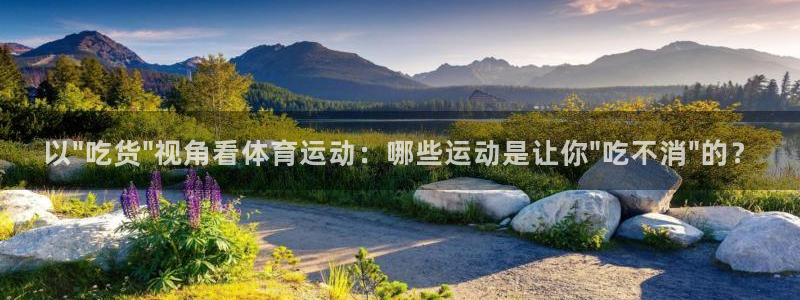 球速体育