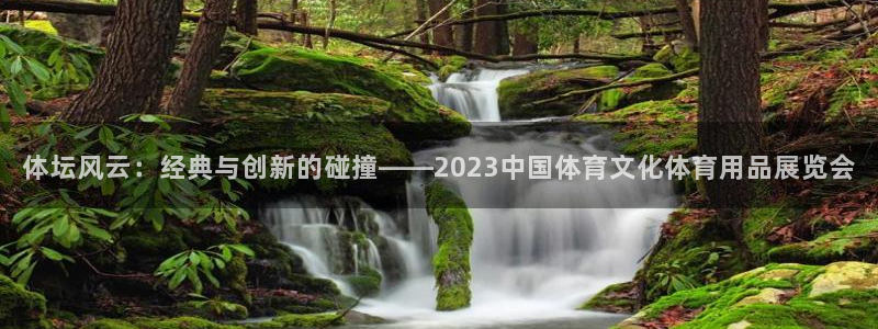 球速体育