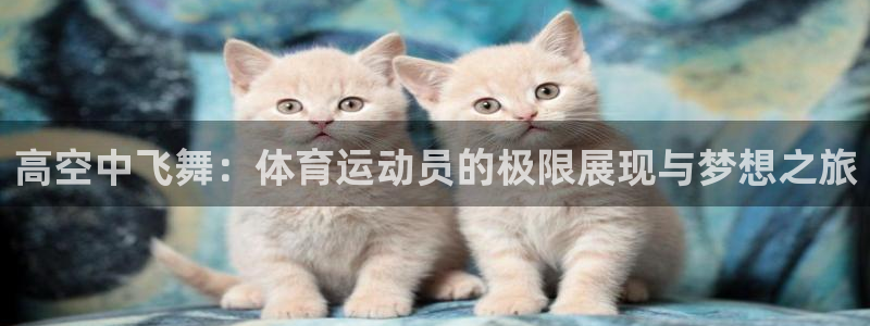 球速体育