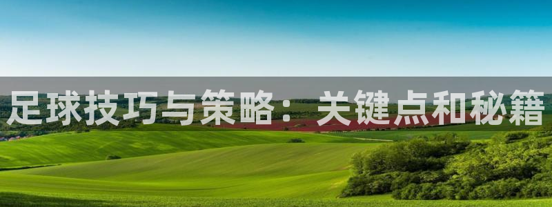 足球技巧与策略：关键点和秘籍