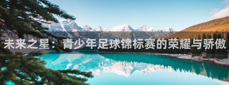 未来之星：青少年足球锦标赛的荣耀与骄