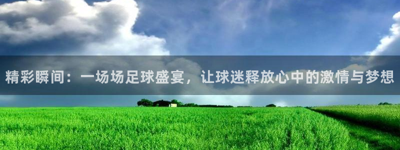 精彩瞬间：一场场足球盛宴，让球迷释放