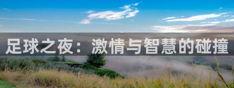 足球之夜：激情与智慧的碰撞