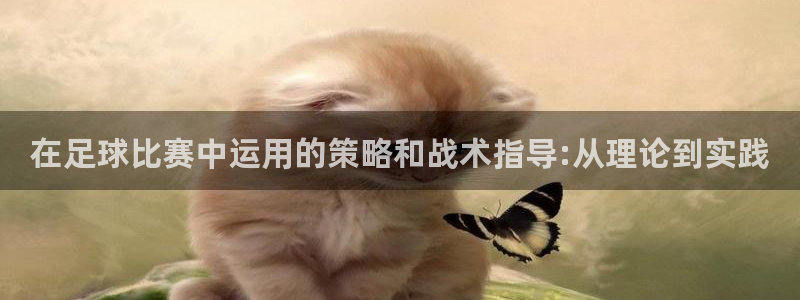 在足球比赛中运用的策略和战术指导:从理论到实践
