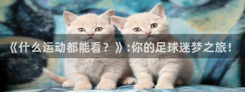 《什么运动都能看？》:你的足球迷梦之