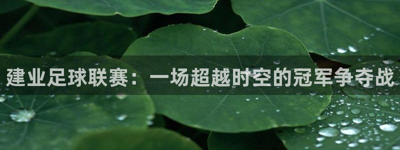 建业足球联赛：一场超越时空的冠军争夺战