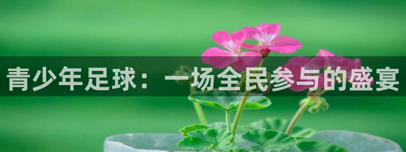  青少年足球：一场全民参与的盛宴