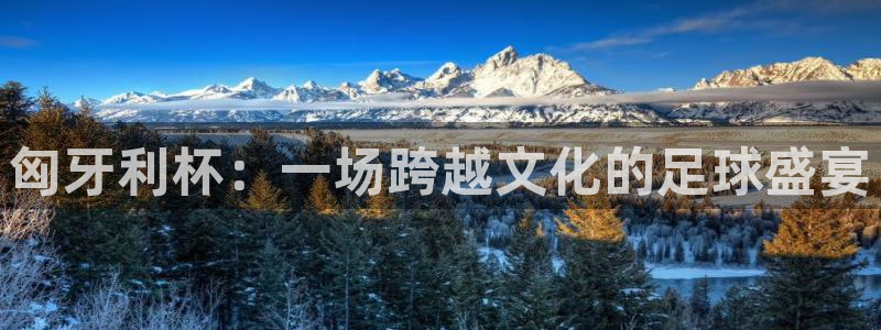  匈牙利杯：一场跨越文化的足球盛宴